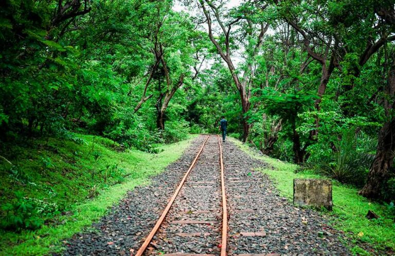 pune to sanjay gandhi national park cab